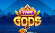 3 Tiny Gods Slot