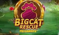 Big Cat Rescue Megaways Slot