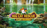 Big Cat Rescue Megaways Slot