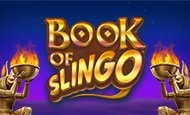 Book of Slingo Slot