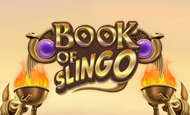 Book of Slingo Slot