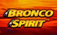 Bronco Spirit Slot