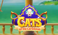 Cats of the Caribbean Slot