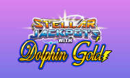 Dolphin Slots