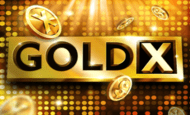 Gold X Slot