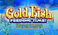 Gold Fish Feeding Time Slot