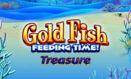 Gold Fish Feeding Time Slot