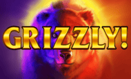 Grizzly! Slot
