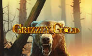 Grizzly Gold Slot