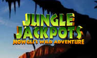 Jungle Jackpots Mowgli's Wild Adventure Slot