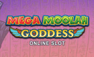 Mega Moolah Goddess Slot