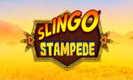 Stampede Slots