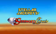 Stellar Jackpots Serengeti Lions Slot