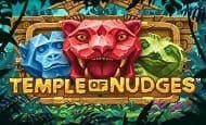 Temple of Nudges Slot