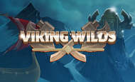 Viking Wilds Slot