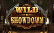 Wild Showdown Slot