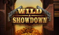 Wild Showdown Slot