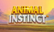 Animal Instinct Slot