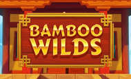 Bamboo Wilds Slot