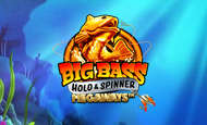 Big Bass Hold & Spinner Megaways Slot