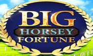 Big Horsey Fortune Slot