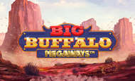 Big Buffalo Megaways Slot