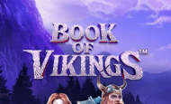 Book of Vikings Slot