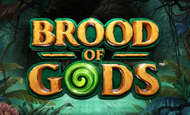 Brood of Gods Slot