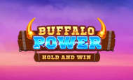 Buffalo Power Hold and Win