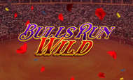 Bulls Run Wild Slot