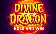 Divine Dragon Hold and Win Slot