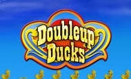 Double Up Ducks Slots