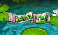 Enchanted Prince Slot