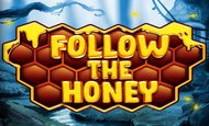 Follow the Honey Slot
