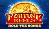 Fortune Reels Slot