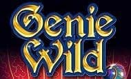 Genie Wild Slot