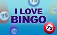 Bingo Slots