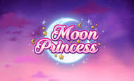 Moon Princess Slot