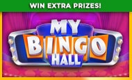 My Bingo Hall Slot