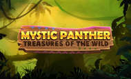 Mystic Panther Treasures of The Wilds Slot