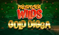 Prospector Wilds Gold Digga Slot