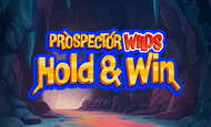 Prospector Wilds Hold and Win Slot