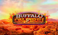 Buffalo on Fire Slot