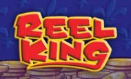 Reel King Slot