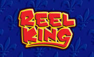 Reel King Slot