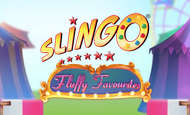 Play Online Slingo Slots