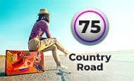 75 Ball Country Road Bingo
