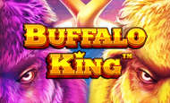 Buffalo King Slot