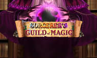 Sorcerer's Guild of Magic Slot