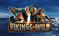 Vikings Go Wild Slot